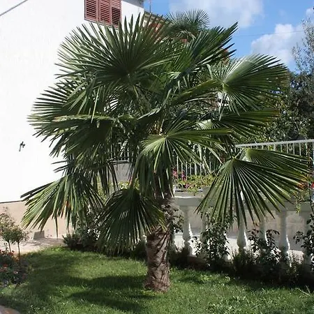 Apartamento 2995d *