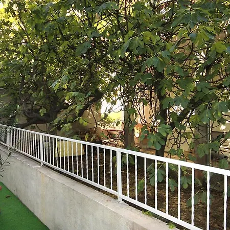 2995d Vodice